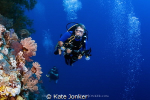 Exploration
Divers explore the vibrant reefs of the Deep... by Kate Jonker 